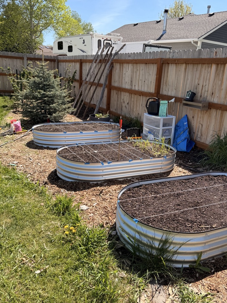 Raised metal garden beds in a backyard.